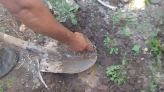 Başkan Akbaba: Hepinizi Allah'a havale ediyorum