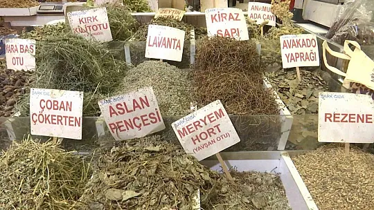 Prof. Dr. İlhan'dan bitki çayları için ezber bozan açıklama