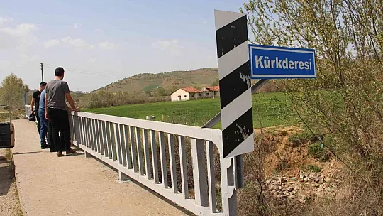 Siraz balıklarının akıntıya karşı göçü başladı