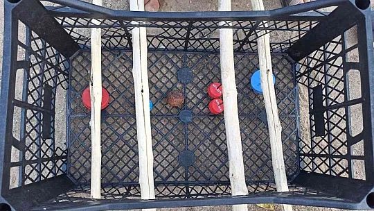 Cevizi top yapıp plastik meyve kasasında langırt oynadılar