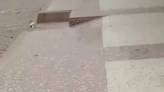 Cips hırsızı karga objektiflere yakalandı