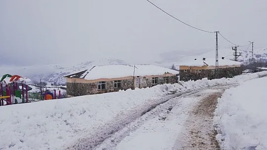 Çoban kar altında türkü söyledi, koyunlar pürdikkat dinledi