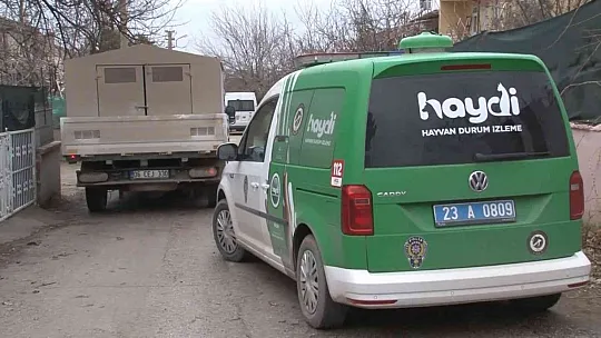 Cezayı duyunca pitbull'u kendi elleri ile teslim etti