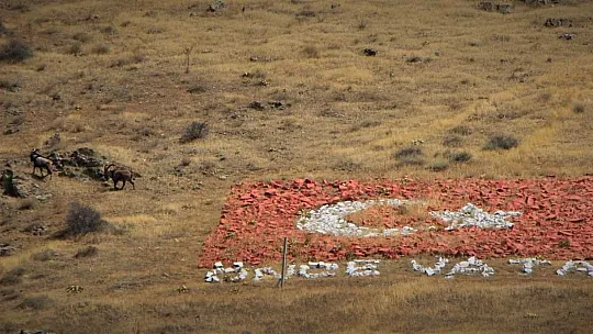 Dağ keçilerinin Kömürhan Sefası
