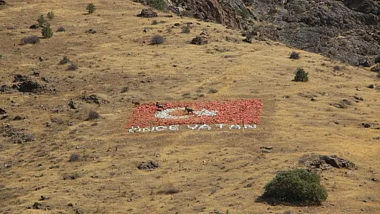 Dağ keçilerinin Kömürhan Sefası
