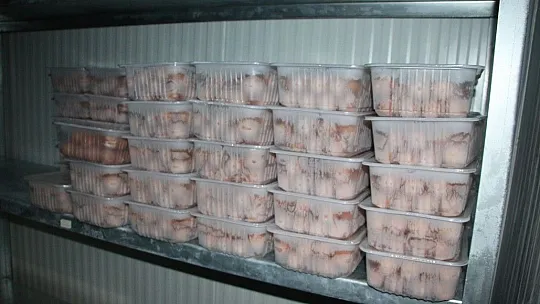 KOSGEB'den aldıkları destekle, 20 kişiye istihdam sağlıyorlar