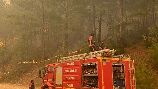 İtfaiyeci Gakgolar Manavgat'ta yangına müdahale çalışmalarını sürdürüyor