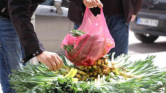 'Çiriş' ve 'Kenger' otu, tezgahlardaki yerini aldı