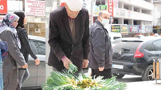 'Çiriş' ve 'Kenger' otu, tezgahlardaki yerini aldı