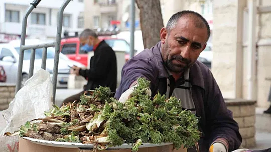 'Çiriş' ve 'Kenger' otu, tezgahlardaki yerini aldı