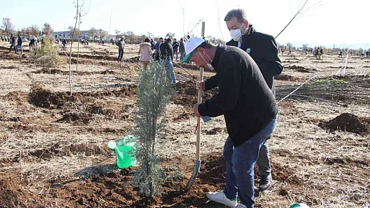 Elazığ'da bugün 23 bin fidan toprakla buluştu