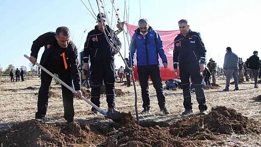 Elazığ'da bugün 23 bin fidan toprakla buluştu
