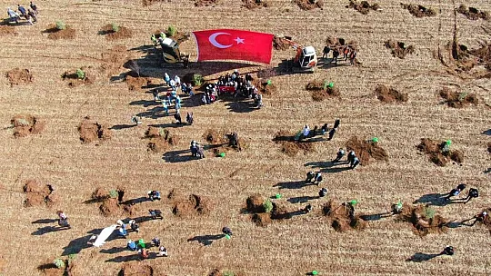 Elazığ'da bugün 23 bin fidan toprakla buluştu