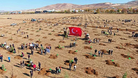 Elazığ'da bugün 23 bin fidan toprakla buluştu
