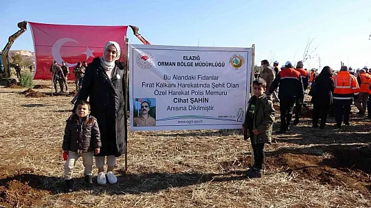 Elazığ'da bugün 23 bin fidan toprakla buluştu