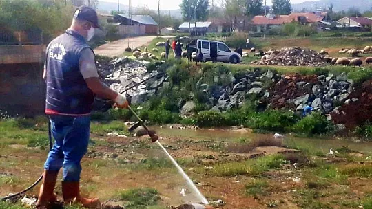 Elazığ İl Özel İdaresi ilaçlamaya bayramda da devam etti