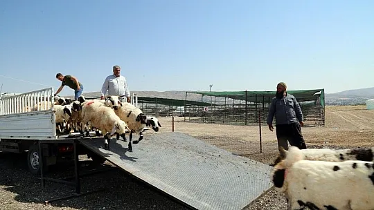 50 dönümlük arazi üzerinde kurban satış ve kesim alanı oluşturuldu