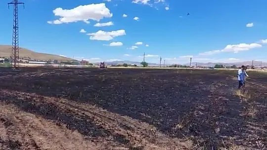 Elazığ'da 12 dönüm ekili alan kül oldu