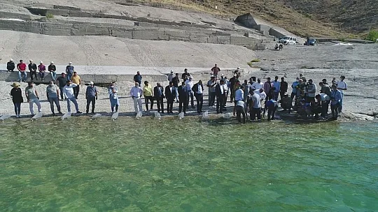 Elazığ'da bu sene 12 milyon yavru sazan sularla buluşturuldu