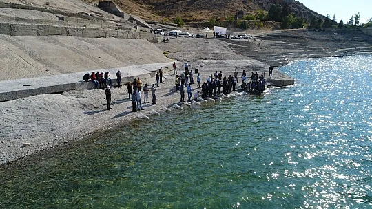Elazığ'da bu sene 12 milyon yavru sazan sularla buluşturuldu