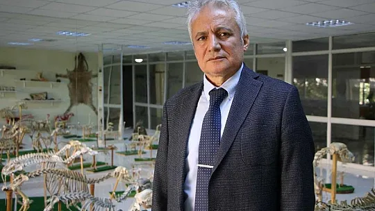 8 milyon yıllık hayvan fosilleri Elazığ'da sergileniyor