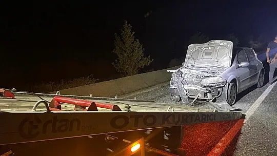 Araç domuz sürüsüne çarptı: 2 yaralı
