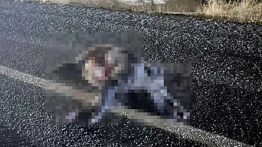 Araç domuz sürüsüne çarptı: 2 yaralı