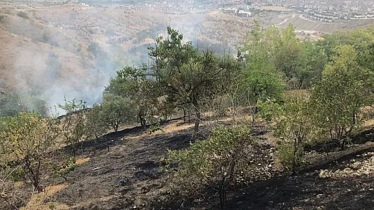 Bahçe yangınında 20 dönümlük alan zarar gördü