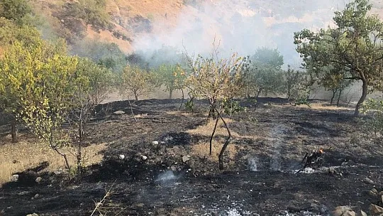 Bahçe yangınında 20 dönümlük alan zarar gördü