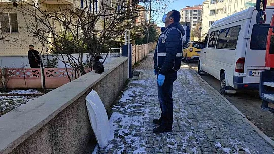 Çatıda mahsur kalan kedi için HAYDİ ve itfaiye ekipleri seferber oldu