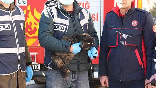 Çatıda mahsur kalan kedi için HAYDİ ve itfaiye ekipleri seferber oldu