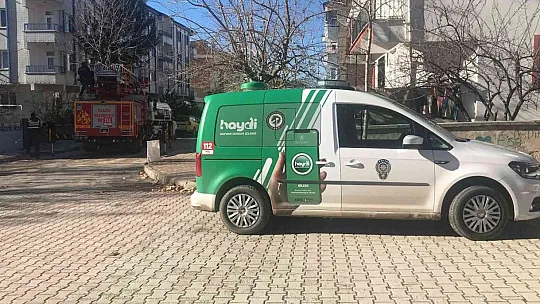 Çatıda mahsur kalan kedi için HAYDİ ve itfaiye ekipleri seferber oldu