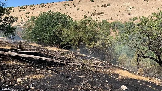 Ağın'da yangın