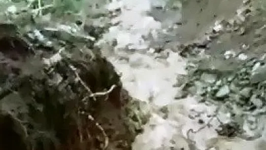 Elazığ'da dere taştı, köy yolu çöktü