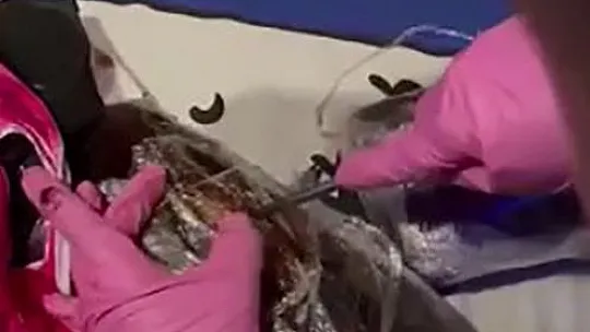 Dedektör köpek Nina geçit vermedi