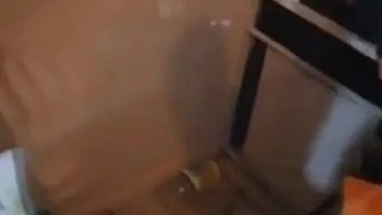 Bir binanın beşinci katında görülen yılan paniğe neden oldu