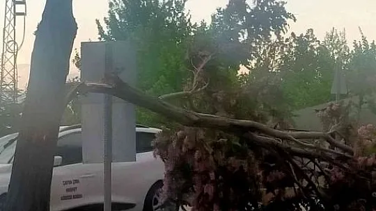Etkili olan fırtınada çatılar uçtu, ağaçlar devrildi!
