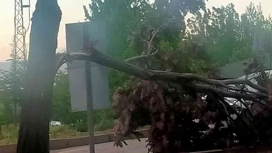 Etkili olan fırtınada çatılar uçtu, ağaçlar devrildi!