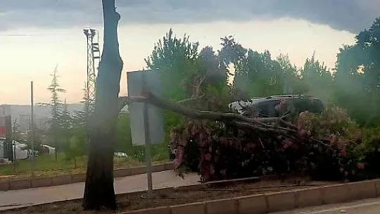 Etkili olan fırtınada çatılar uçtu, ağaçlar devrildi!