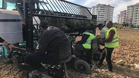 Elazığ'da İpek Yolu gönüllüleri 40bin kök lavanta ekti