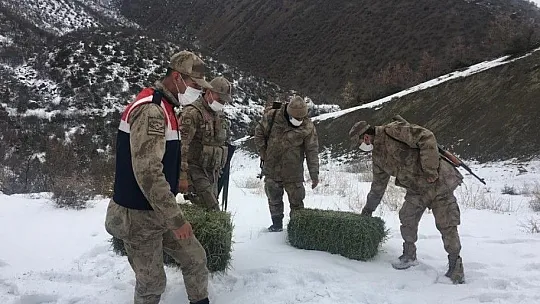 Elazığ jandarması, yaban hayatı için doğaya yem bıraktı
