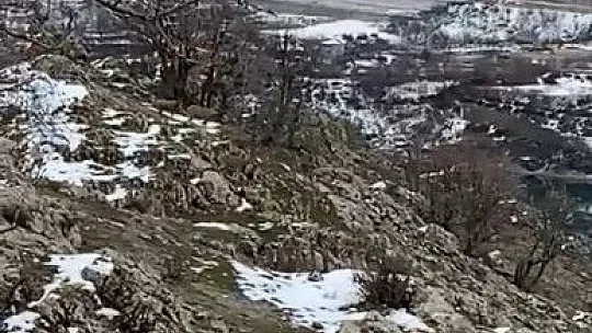 Elazığ jandarması, yaban hayatı için doğaya yem bıraktı