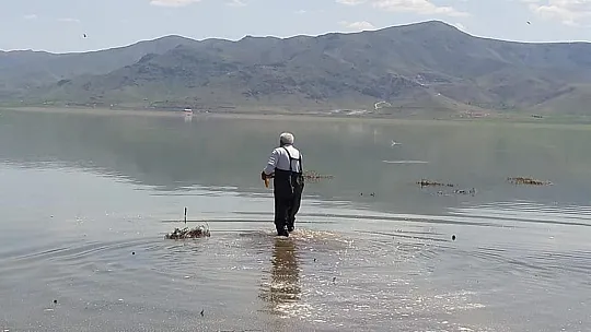 Keban Baraj Gölü'nde kaçak avcılara operasyon
