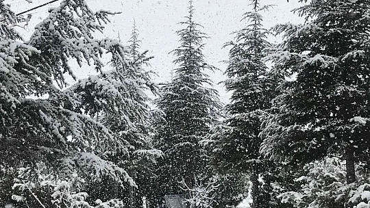 Kar yağışı Elazığ ve çevresinde aralıklarla etkisini gösteriyor