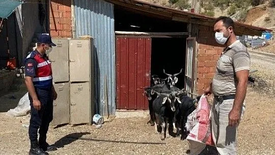 Kaybolan keçiler jandarmanın drone desteği ile bulundu