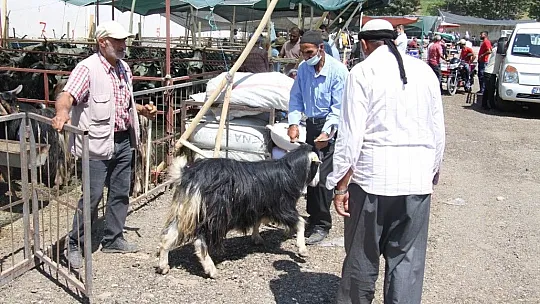 Elazığ'da kurbanlık satışları devam ediyor
