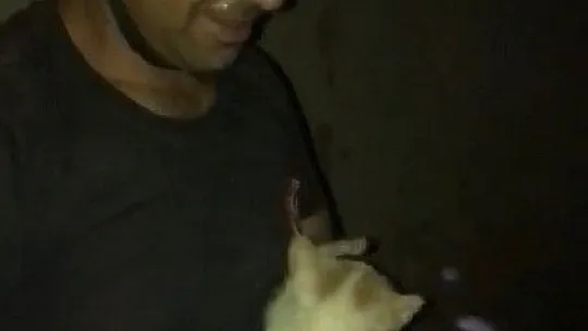 Kuyuya düşen kediyi itfaiye ekipleri kurtardı