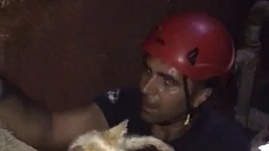 Kuyuya düşen kediyi itfaiye ekipleri kurtardı