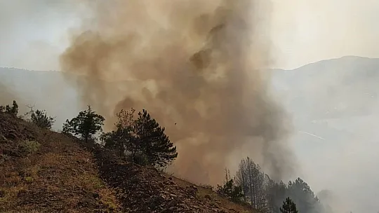 Elazığ'da orman yangını