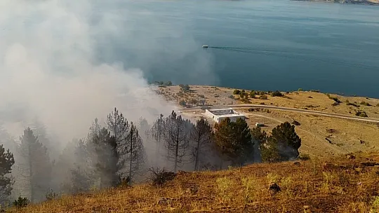 Elazığ'da orman yangını